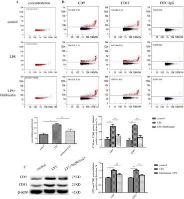 Corrigendum: Nonmuscle myosin heavy chain IIA-mediated exosome release via regulation of the rho-associated kinase 1/myosin light chains/actin pathway